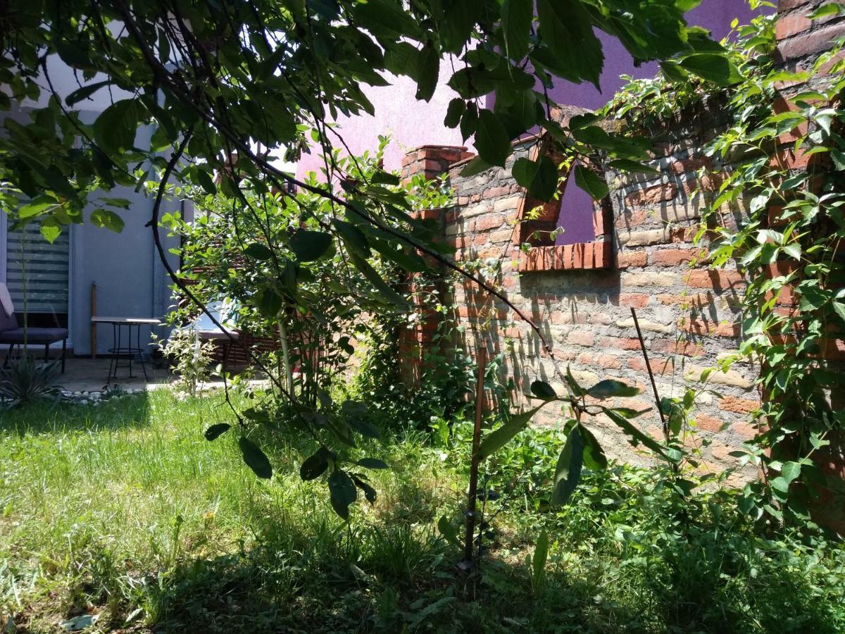 Garmani Lägenhet Vrnjačka Banja Exteriör bild